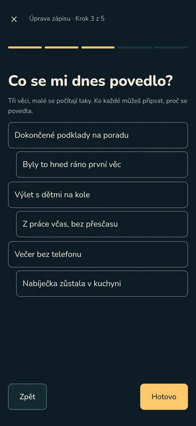 Večerní krok Co se mi dnes povedlo? se třemi věcmi a důvodem u každé z nich